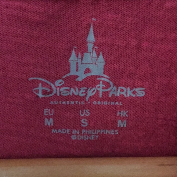 Authentic DisneyParks Hooded Sweatshirt - Picture 4 of 4
